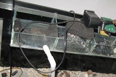 魚缸水泵沒反應了什么原因：魚缸水泵失效可能由電源故障、連續循環中斷、進水管道堵塞引起