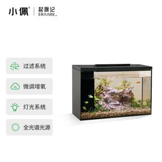 小佩 魚缸：小佩魚缸如何維護(hù)