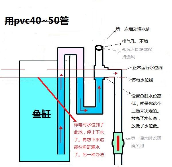 魚缸虹吸原理圖視頻教程：魚缸虹吸原理圖教程詳情 魚缸虹吸原理圖視頻教程：魚缸虹吸原理圖教程詳情 魚缸百科 第3張