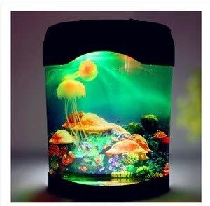 電子魚缸技術革新電子魚缸技術革新電子魚缸技術革新：仿真魚在教育中的應用 電子魚缸技術革新電子魚缸技術革新電子魚缸技術革新：仿真魚在教育中的應用 魚缸百科 第3張