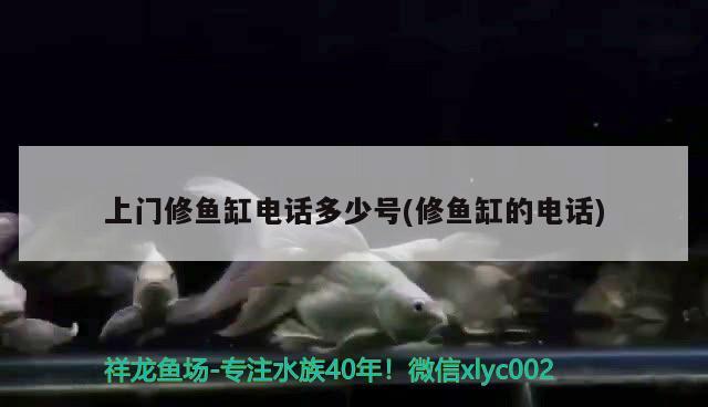 葫蘆島市龍港區(qū)盼盼觀賞魚養(yǎng)殖場
