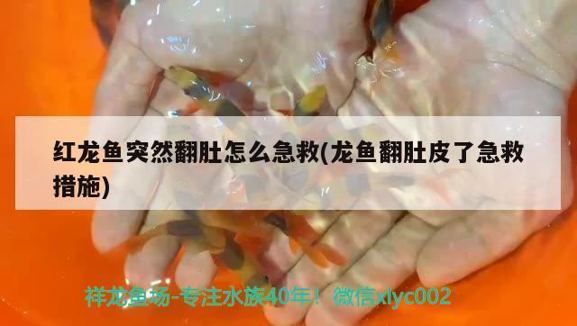 <strong><mark>珠海</mark></strong>市夏灣年華生水族館（<strong><mark>珠海</mark></strong>市夏灣年華生水族館電話號碼）