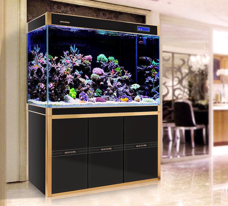 龍魚缸最好幾天換一次水，龍魚缸換水的最佳頻率取決于多種因素