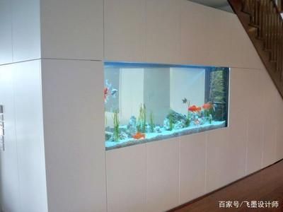 柜子魚(yú)缸一體（嵌入式魚(yú)缸的設(shè)計(jì)技巧）