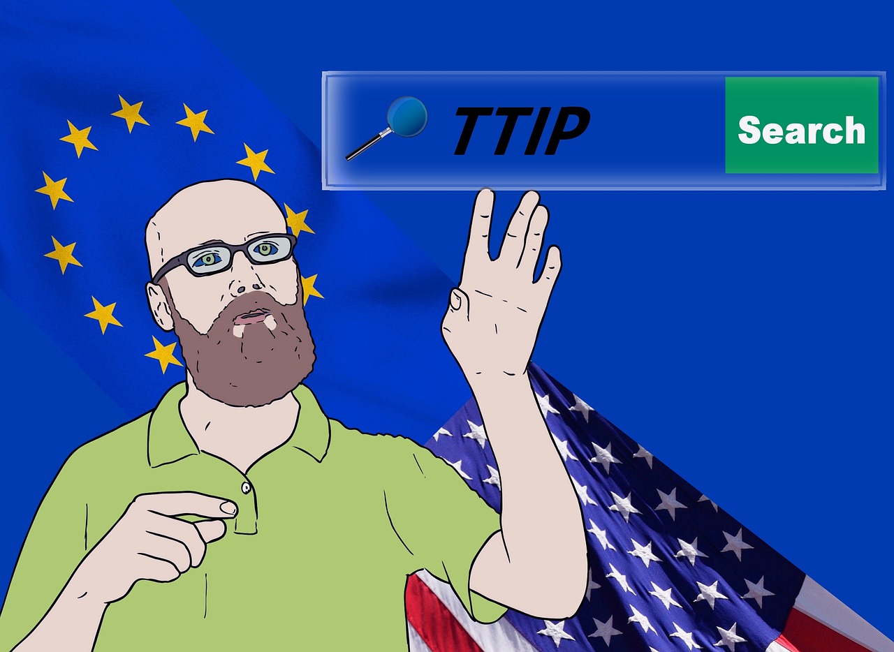 如何與龍貓建立情感聯系？