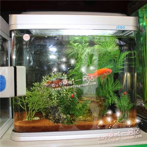 佳寶jebo魚缸官網：佳寶jebo魚缸價格對比jebo魚缸價格對比