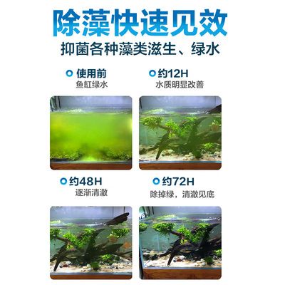 魚缸除藻劑對魚有害嗎:魚缸除藻劑使用方法 魚缸百科 第1張 魚缸除藻劑對魚有害嗎:魚缸除藻劑使用方法 魚缸除藻劑對魚有害嗎:魚缸除藻劑使用方法 魚缸百科 第1張