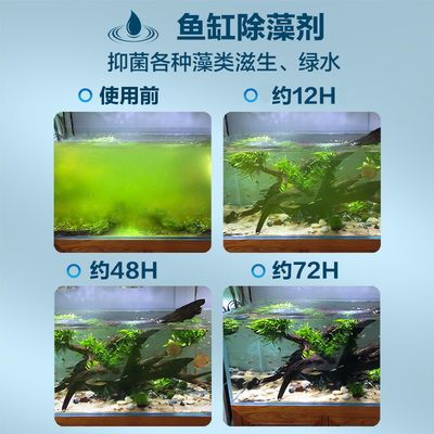 魚缸除藻劑對魚有害嗎:魚缸除藻劑使用方法 魚缸百科 第3張 魚缸除藻劑對魚有害嗎:魚缸除藻劑使用方法 魚缸除藻劑對魚有害嗎:魚缸除藻劑使用方法 魚缸百科 第3張
