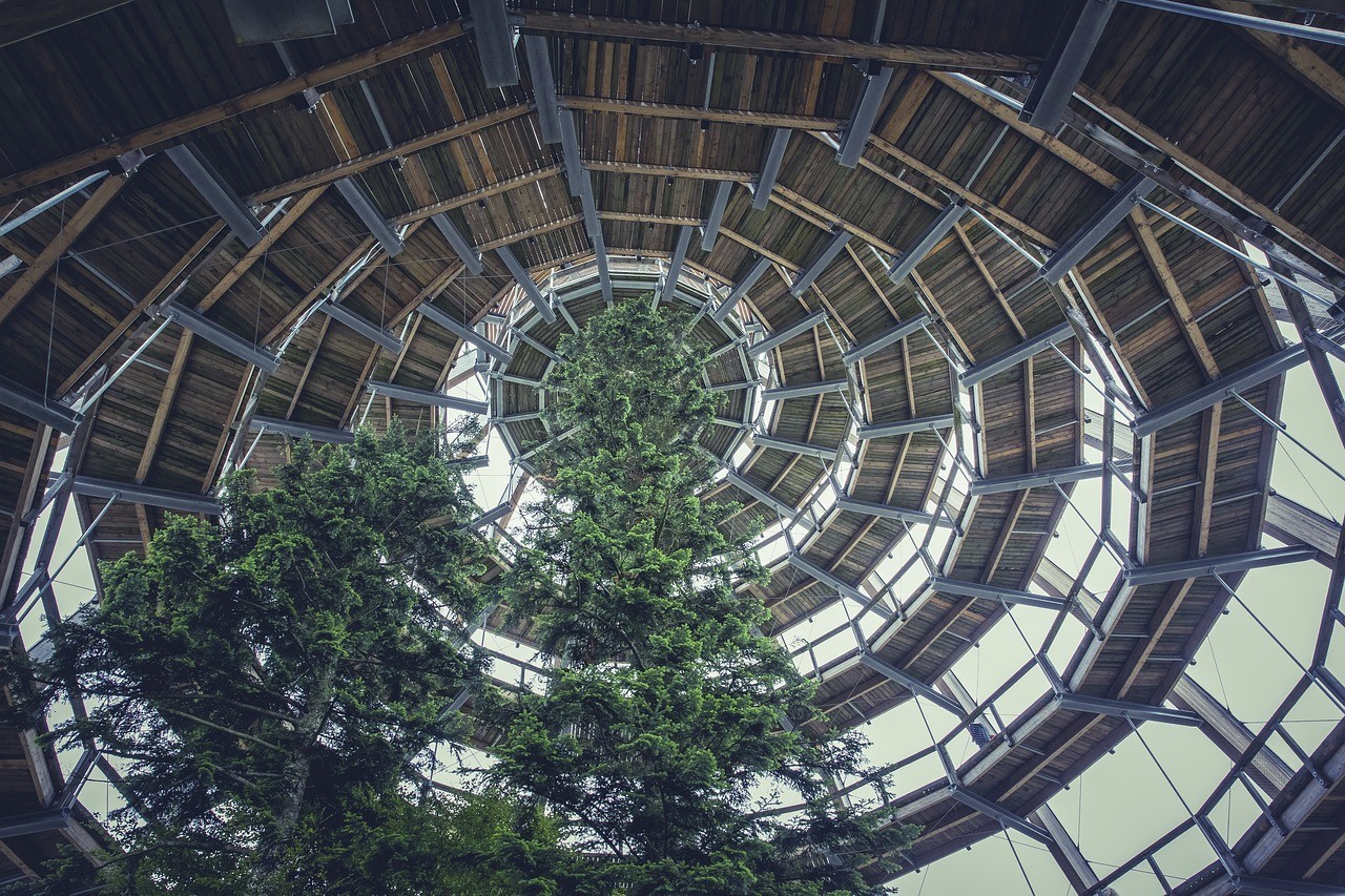 湖南恒軼造景設計有限公司（湖南恒軼造景設計有限公司怎么樣） 湖南恒軼造景設計有限公司（湖南恒軼造景設計有限公司怎么樣） 全國水族館企業(yè)名錄 第2張