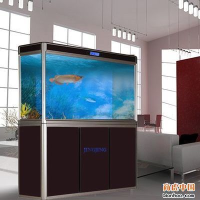 國內知名魚缸品牌：國內知名魚缸品牌介紹