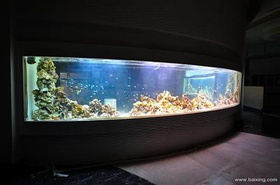 三緣水族館（三緣浴室怎么樣）