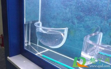 魚缸過濾效果好的魚缸過濾適合自己的魚缸過濾效果好：魚缸過濾器的優缺點