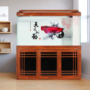 一米龍魚(yú)缸：一米長(zhǎng)的魚(yú)缸可以養(yǎng)龍魚(yú)嗎，
