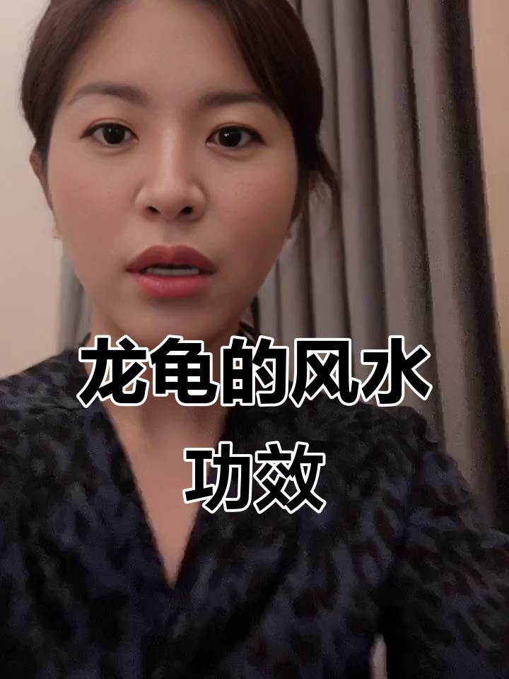 開光龍龜哪個(gè)品牌好？