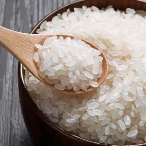 金龍魚御品清香絲苗米 龍魚百科 第6張 金龍魚御品清香絲苗米 金龍魚御品清香絲苗米 龍魚百科 第6張