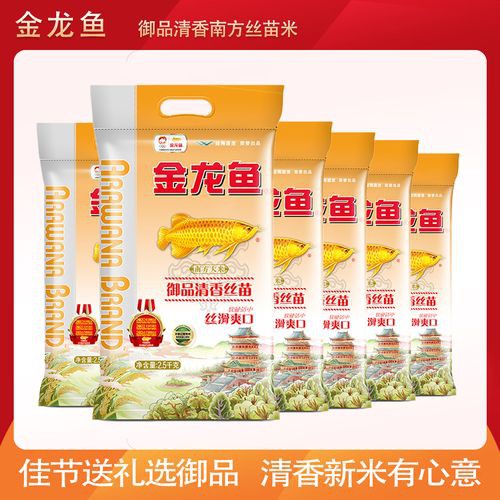 金龍魚御品清香絲苗米 龍魚百科 第2張 金龍魚御品清香絲苗米 金龍魚御品清香絲苗米 龍魚百科 第2張