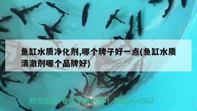 宿遷花鳥市場位于宿遷哪里有賣魚缸的市場哪里有賣魚缸的市場啊：宿遷哪里有賣魚缸的市場