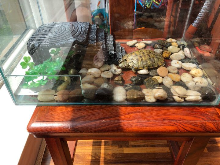 易萌魚缸：易萌魚缸以其多樣化產品線和良好用戶口碑成熱門選擇