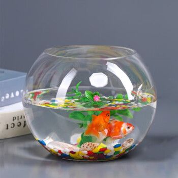 易萌魚缸：易萌魚缸以其多樣化產品線和良好用戶口碑成熱門選擇