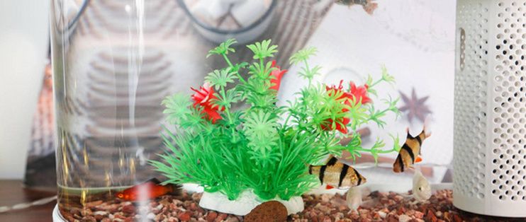 畫法幾何魚缸如何連接米家：如何將畫法幾何魚缸連接到米家app 畫法幾何魚缸如何連接米家：如何將畫法幾何魚缸連接到米家app 魚缸百科 第2張