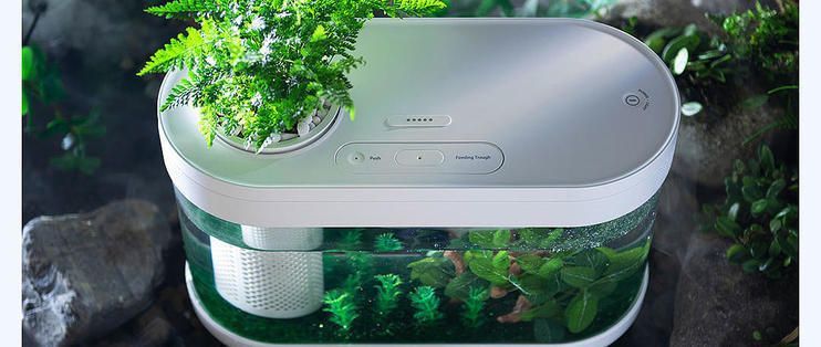 畫法幾何魚缸如何連接米家：如何將畫法幾何魚缸連接到米家app 畫法幾何魚缸如何連接米家：如何將畫法幾何魚缸連接到米家app 魚缸百科 第3張