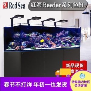 紅海魚缸的養護技巧：紅海生態揭秘