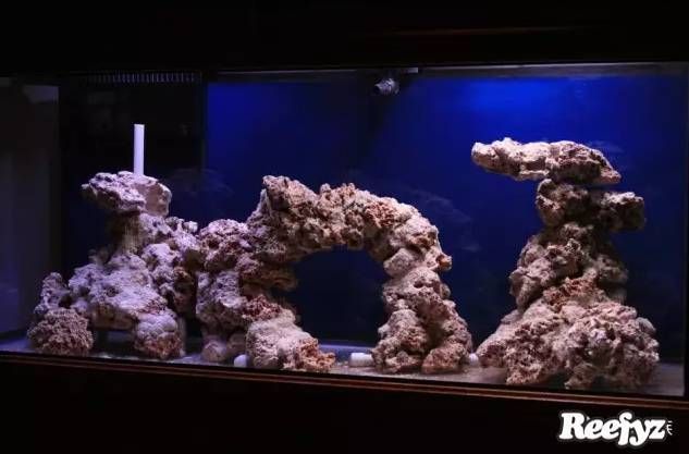 小魚缸效果圖：小魚缸效果圖是一種展示小魚缸設(shè)計、布局和裝飾效果的視覺表現(xiàn)