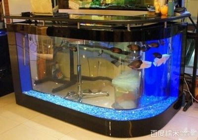 好久不用的魚缸如何重新使用：好久不用的魚缸再次使用前必須進行徹底的清洗和消毒