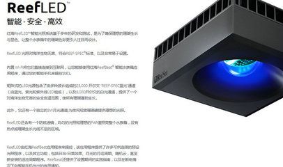 紅海魚缸的養護秘籍紅海魚缸的養護秘籍紅海魚缸養護秘籍：紅海魚缸養護秘籍