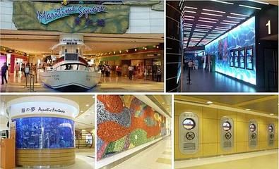海景魚缸養殖員需要具備以下職業要求海洋生態保護的重要性：海景魚缸養殖員的薪資待遇如何？