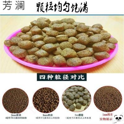 愛唯希魚缸與其他品牌的對比，愛唯希魚缸與其他品牌對比
