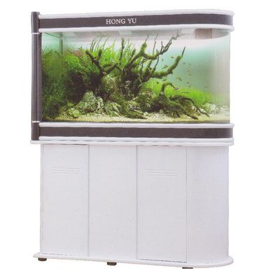 專業魚缸維修(專業的魚缸維修服務) 魚缸百科 第2張 專業魚缸維修(專業的魚缸維修服務) 專業魚缸維修(專業的魚缸維修服務) 魚缸百科 第2張