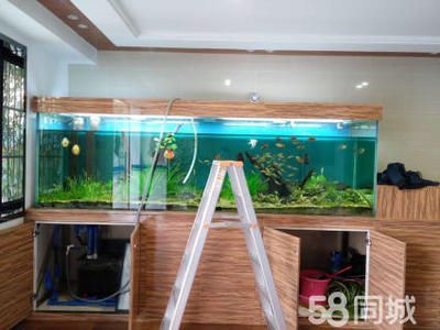 專業魚缸維修(專業的魚缸維修服務) 魚缸百科 第3張 專業魚缸維修(專業的魚缸維修服務) 專業魚缸維修(專業的魚缸維修服務) 魚缸百科 第3張