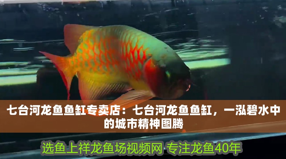 七臺河龍魚魚缸專賣店：七臺河龍魚魚缸，一泓碧水中的城市精神圖騰