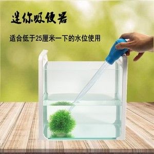 給小魚(yú)缸換水的正確的換水方法能夠提升魚(yú)缸水質(zhì)的清潔：如何給小魚(yú)缸換水