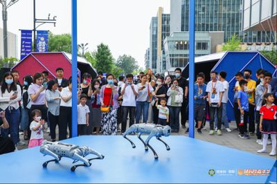 金龍魚科技創新：金龍魚推出“6步鮮米精控技術”創新體系滿足消費者向往