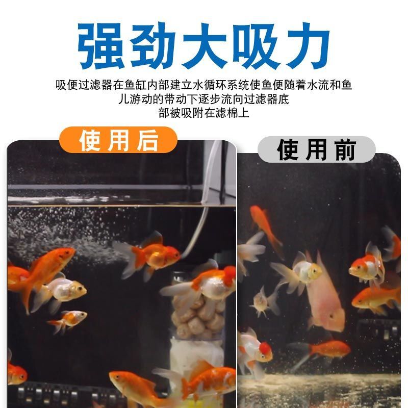 魚缸魔柱有什么用：關于魚缸魔柱的詳細介紹