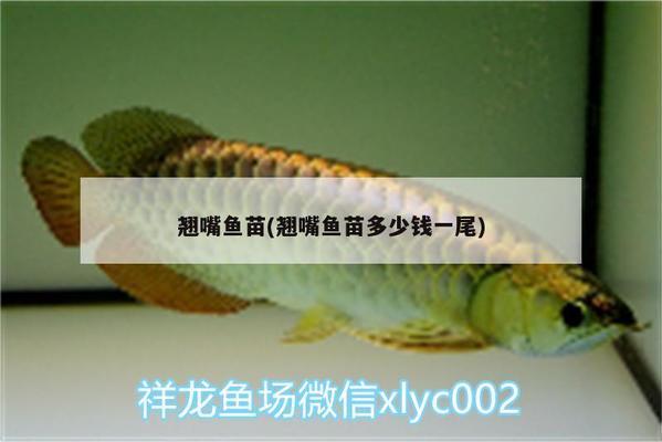 肇東市恒鼎房地產(chǎn)開發(fā)有限公司（肇東市恒鼎房地產(chǎn)開發(fā)有限公司招聘）