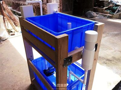 魚缸虹吸裝置：魚缸虹吸裝置是一種利用虹吸原理進行水循環(huán)和清潔的設(shè)備 魚缸虹吸裝置：魚缸虹吸裝置是一種利用虹吸原理進行水循環(huán)和清潔的設(shè)備 魚缸百科 第1張