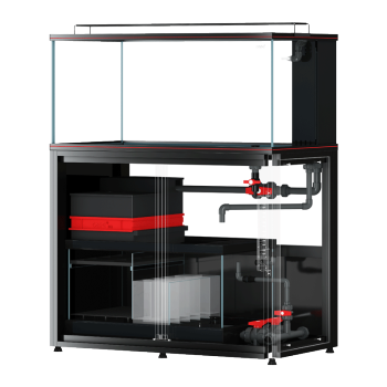 泊頭市廣文水族館（泊頭市廣文水族館電話） 泊頭市廣文水族館（泊頭市廣文水族館電話） 全國水族館企業名錄