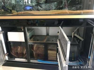 底濾魚缸設計圖及原理（底濾魚缸的工作原理） 底濾魚缸設計圖及原理（底濾魚缸的工作原理） 魚缸百科 第4張