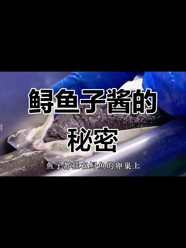 鱘龍魚子醬的制作過程