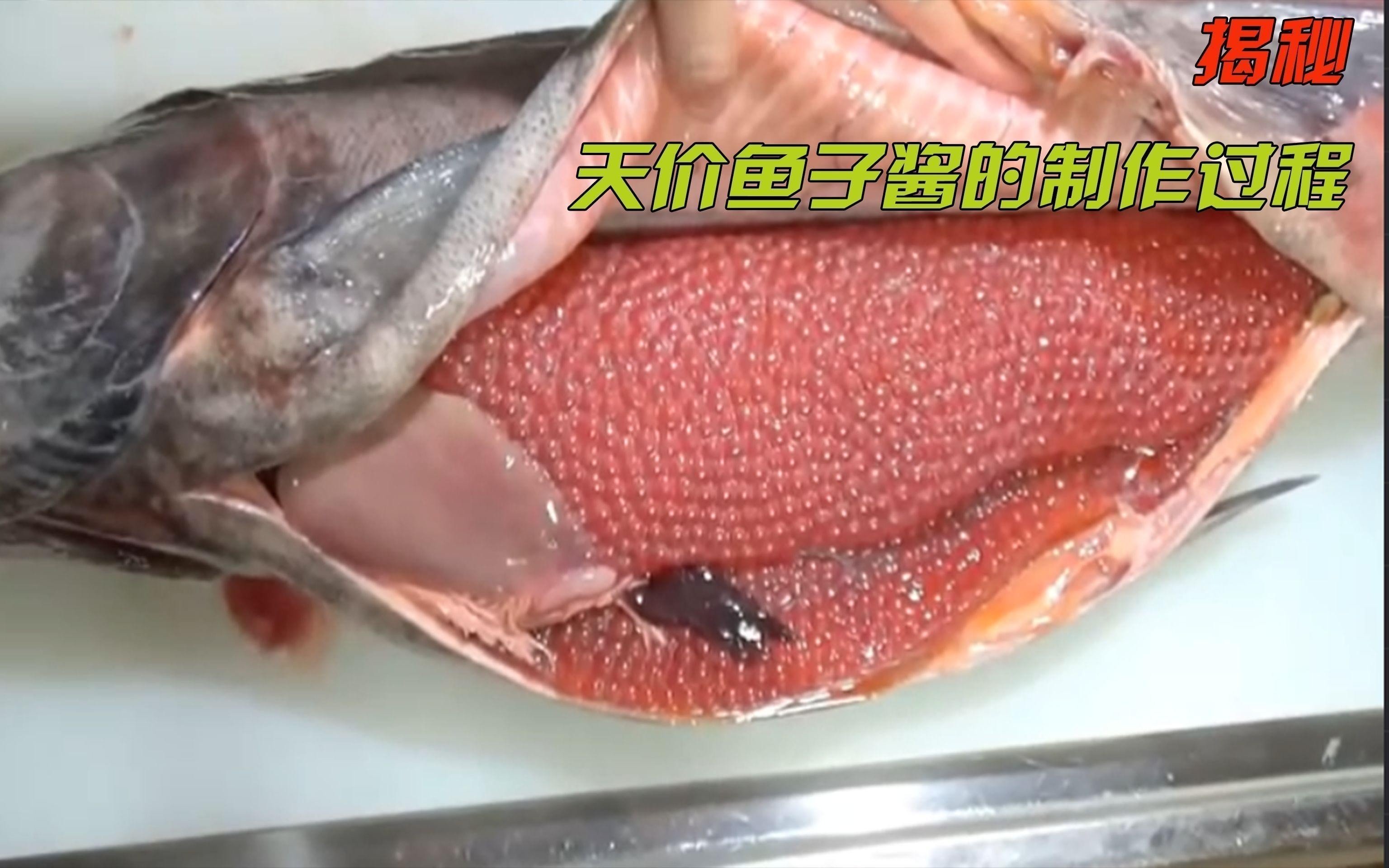 鱘龍魚子醬的制作過程