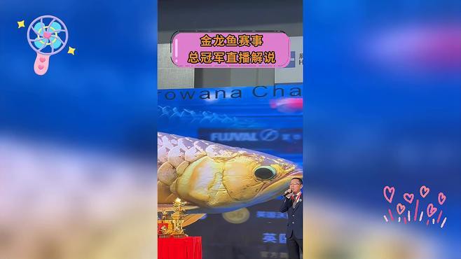 金龍魚冠軍