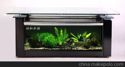 黑金剛魚缸（關(guān)于黑金剛魚缸的一些詳細信息）