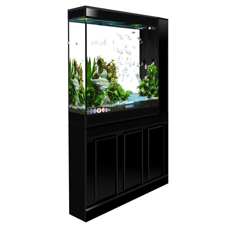 黑金剛魚缸（關(guān)于黑金剛魚缸的一些詳細(xì)信息）