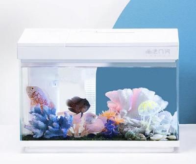 小米有品畫法幾何魚缸:小米有品品畫法幾何魚缸