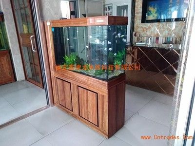定制玻璃魚缸多少錢（定制玻璃魚缸價格）