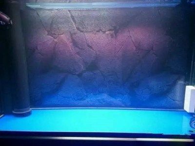 魚缸能用幾年（魚缸的壽命受多種因素影響，合理使用和保養可以延長使用壽命） 魚缸能用幾年（魚缸的壽命受多種因素影響，合理使用和保養可以延長使用壽命） 魚缸百科 第5張