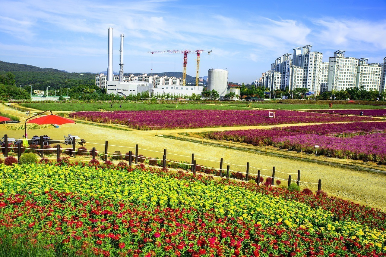 南京市園林實(shí)業(yè)總公司花卉市場(chǎng)（南京市園林實(shí)業(yè)總公司花卉市場(chǎng)地址）